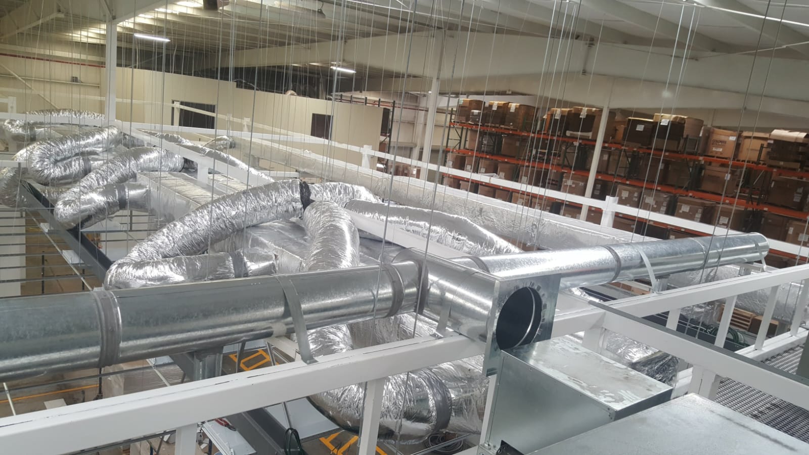 36f309aa E1c0 4200 B429 1952aa003bb5