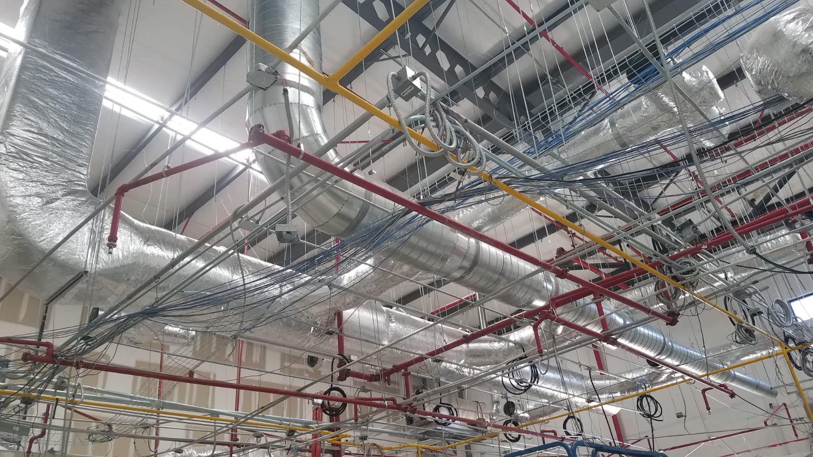 41cdb32c 1099 4877 Ad6a 2505eb26f887