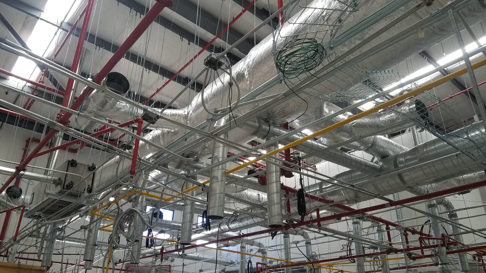 5fb0faa6 Eae7 49dc 8984 201ceb958d1d