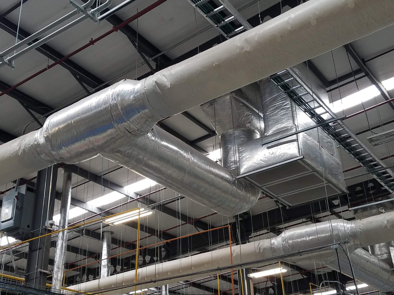 B2ecc4d3 E6b0 4467 9deb Bfe955a92731