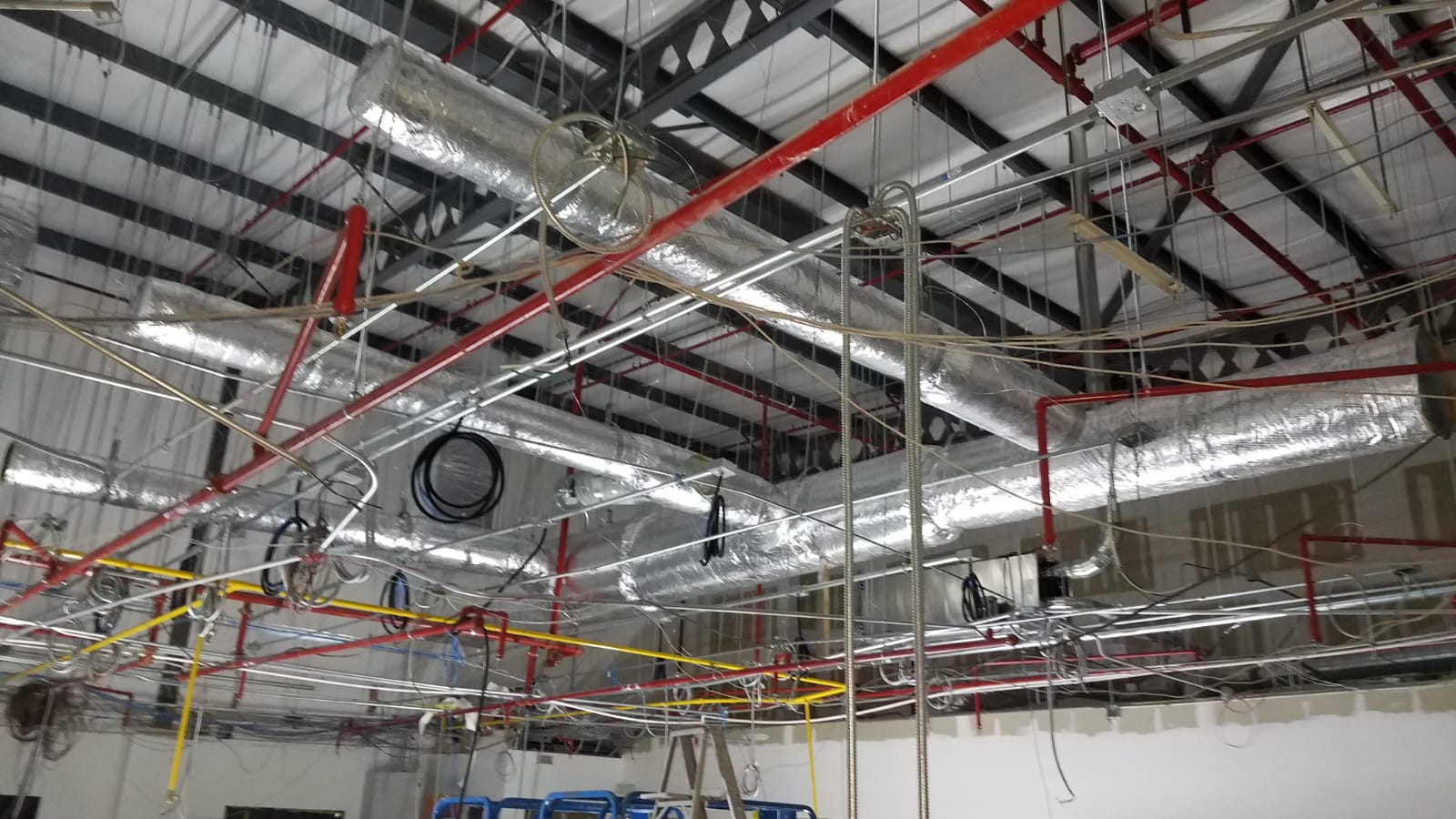 B5d8862c Ef8f 470f 91fc 054c51c9f3cd