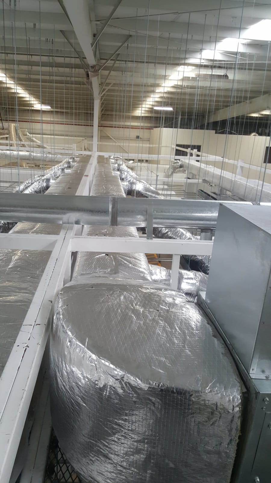 C75e5d28 1c8e 4daa 9daf 5d98895dabfa